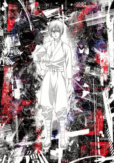 Sword Gai: The Animation