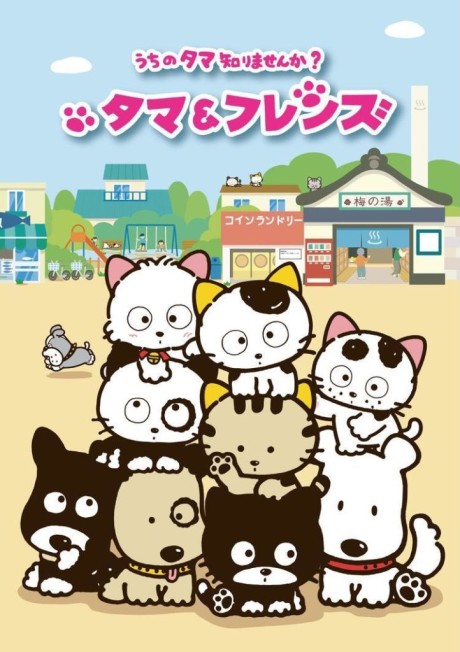 Uchi Tama?! Uchi no Tama Shirimasen ka?